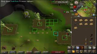 woodcutting