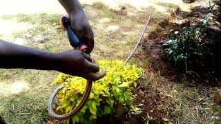 unboxing of emtop  plastic trigger nozzle sprayer for gardening#triggers #farm