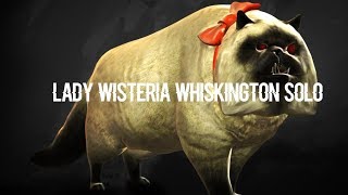 Lady Wisteria Whiskington Mesmer Solo