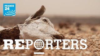 Somalia, the curse of famine