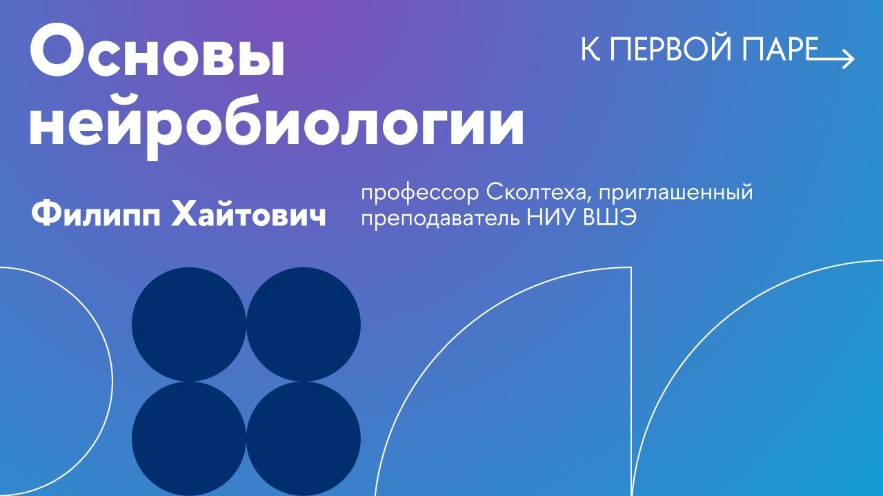 К первой паре / Основы нейробиологии. Лекция 7. Синаптическая пластичность. Часть 1