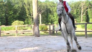 Zoom métier : marchand de chevaux