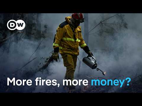 Wildfires spark <strong>calls</strong> for more EU funds | DW news