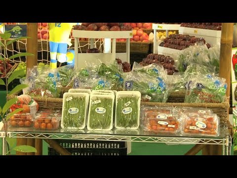 The New Era of Indonesian Agriculture