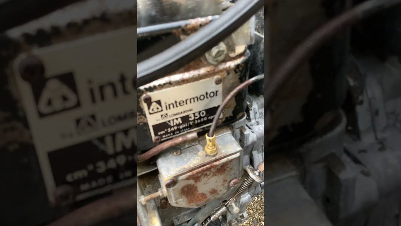 😳lombardi 350MI tourne comme une horloge, carburateur refait et bobine #permaculture #garden 👌