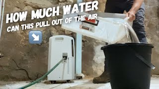 Drying out a damp cellar with a dehumidifier  Delonghi Ariadry 25L