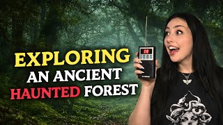 This Ancient Forest Has a Terrifying History