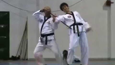 Duk Moo Greece Hapkido