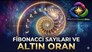 Fibonacci Dizisi ve Altın Oran