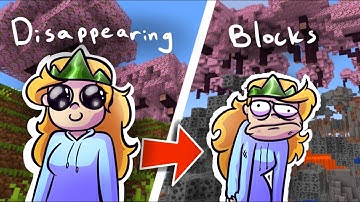 Minecraft But A Random Block Type Disappears Every 30 Seconds
