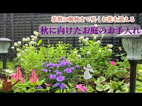秋に向けた花壇お手入れ 晩秋まで長く咲く一年草 宿根草 土の再生 その後 雨後の庭のお手入れ Youtube 秋に向けた花壇お手入れ 晩秋まで長く咲く一年草 宿根草 土の再生 その後 雨後の庭のお手入れ Youtube