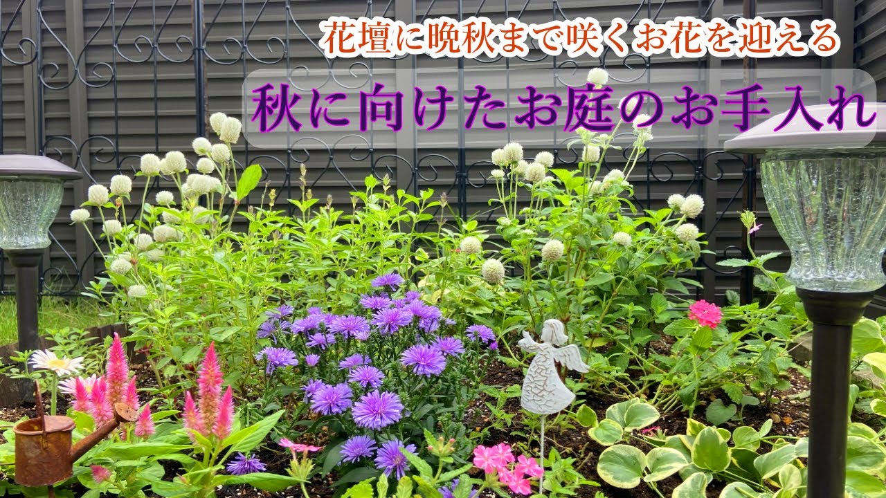 秋に向けた花壇お手入れ 晩秋まで長く咲く一年草 宿根草 土の再生 その後 雨後の庭のお手入れ Youtube