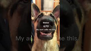 Yes i’m called wiener #funny