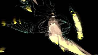 Vector Birds