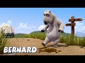 Bernard Bear | Stepped on POO! 💩 AND MORE | Cartoons for Children