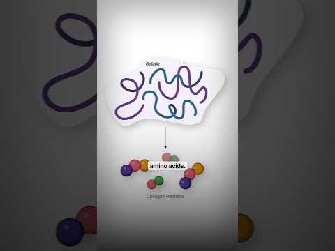 Collagen Peptides vs