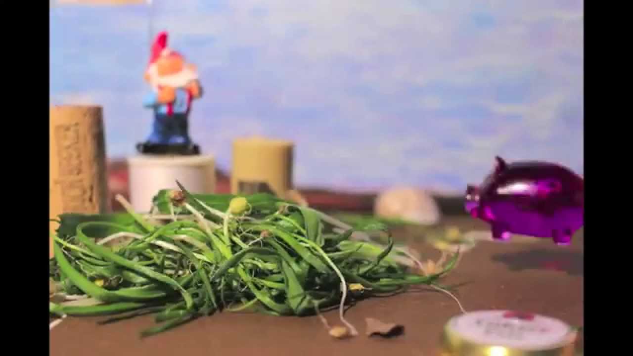 Mincer Ray 'Backwards Walkin'' YouTube