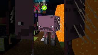 Ravager, Pillager, Fire, Strider vs Sword and Hoe