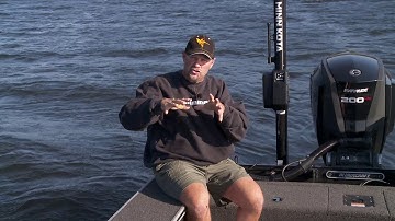 How To Understand And Use Humminbird Down Imaging To Catch More Fish