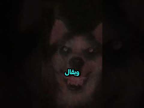 الكلب المبتسم كريبي باستا Smiledog Shorts لايك اشتراك 
