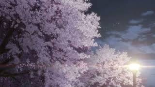 Download Lagu Cigarettes After Sex - You're All I Want (slowed + reverb) MP3