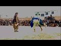 بغلان کې د غېږنيونې سیالۍ پیل شوې 
