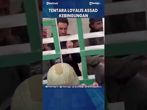 3 000 TENTARA
