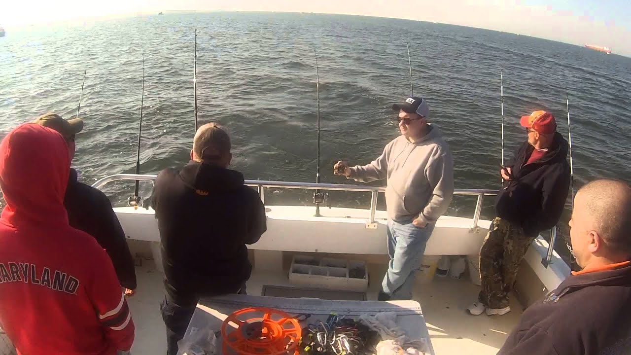 Maryland Striper Fishing 2013 with Natural Light Charters YouTube