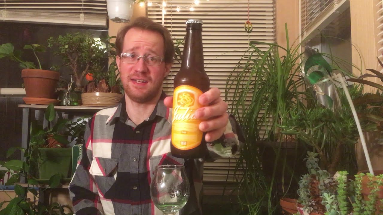 Tree House Julius IPA BOTTLE