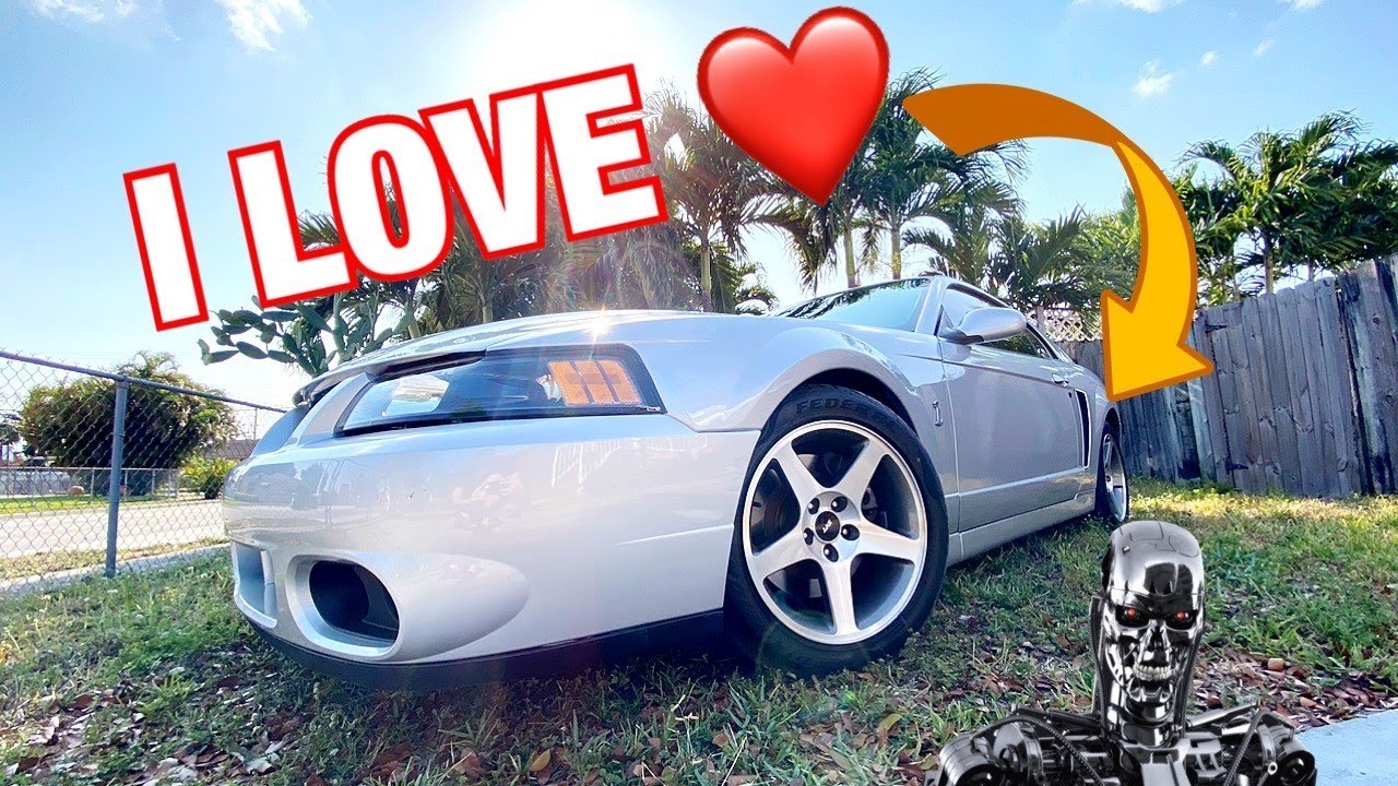 7 Reasons WHY I LOVE My 2003 TERMINATOR COBRA!