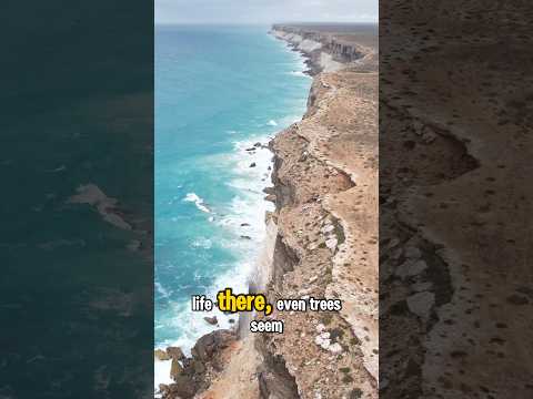 Bunda Cliffs Or Nullarbor Cliffs Australia Endlessaussieadventures Shots Viralshorts