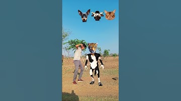 June 5, 2023 Cow head matching game - Funny vfx magic 📸📷 new #shorts #funny #youtube