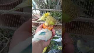 Dein Welli macht DAS… ohne dass du es siehst 😳