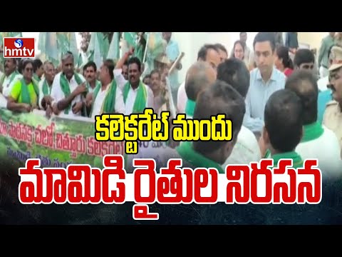 కలెక్టరేట్ ముందు మామిడి రైతుల నిరసన |Mango Farmers Protest In Front of Collectorate | hmtv - HMTVNEWS