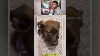 🤣😆 #memereaction#funnyreaction#viral#shorts#youtubeshorts#trending#shortsfeed