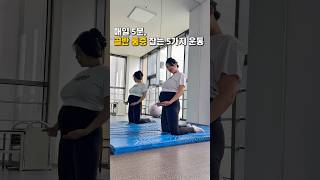 매일 이렇게 했더니 골반 통증 싹 사라짐❗️#운동 #스트레칭 #임산부운동