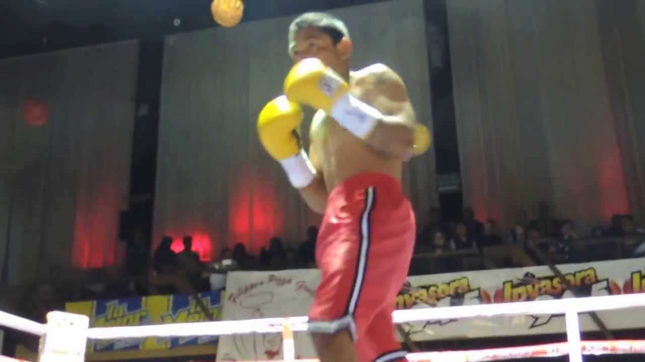 boxing in tijuana mexico las pulgas bar YouTube