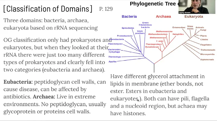 A3.2 Classification and Cladistics (HL)