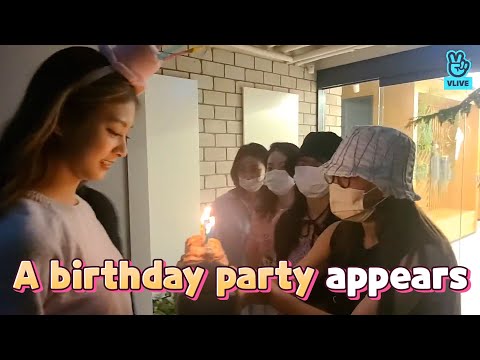 (ENG sub) [VLIVE] TWICE - HAPPY TZUYU DAY!