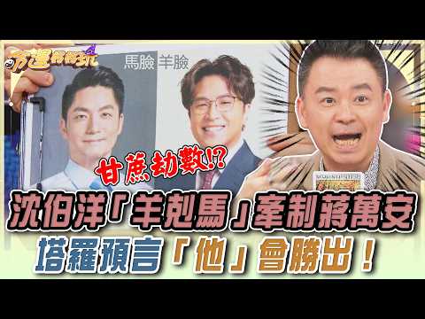命理師揭密台北市長選戰！沈伯洋「羊臉剋馬臉」牽制蔣萬安？塔羅預言「他」會贏！【命運好好玩】