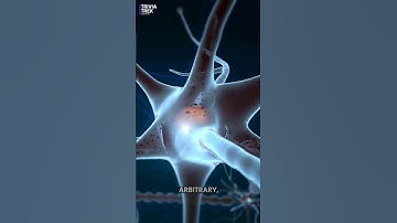 "Why Do We Forget Names So Easily? 🧠🤔 #mindblown "