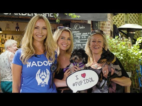PUP IDOL 2017 - DOG SHOW - All Dogs Matter