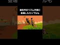 新作リズム天国にモナや過去作のキャラが登場【リズム天国ミラクルスターズ】#メイドインワリオ#シュート練習#ダブルデート#カップル