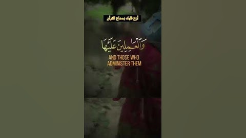 إنما الصدقات للفقراء والمساكين والعاملين عليها } القارئ خالد الجليل