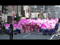 「京炎そでふれ!志舞踊」どまつり2026 8/30(日)【名駅西銀座通パレード】