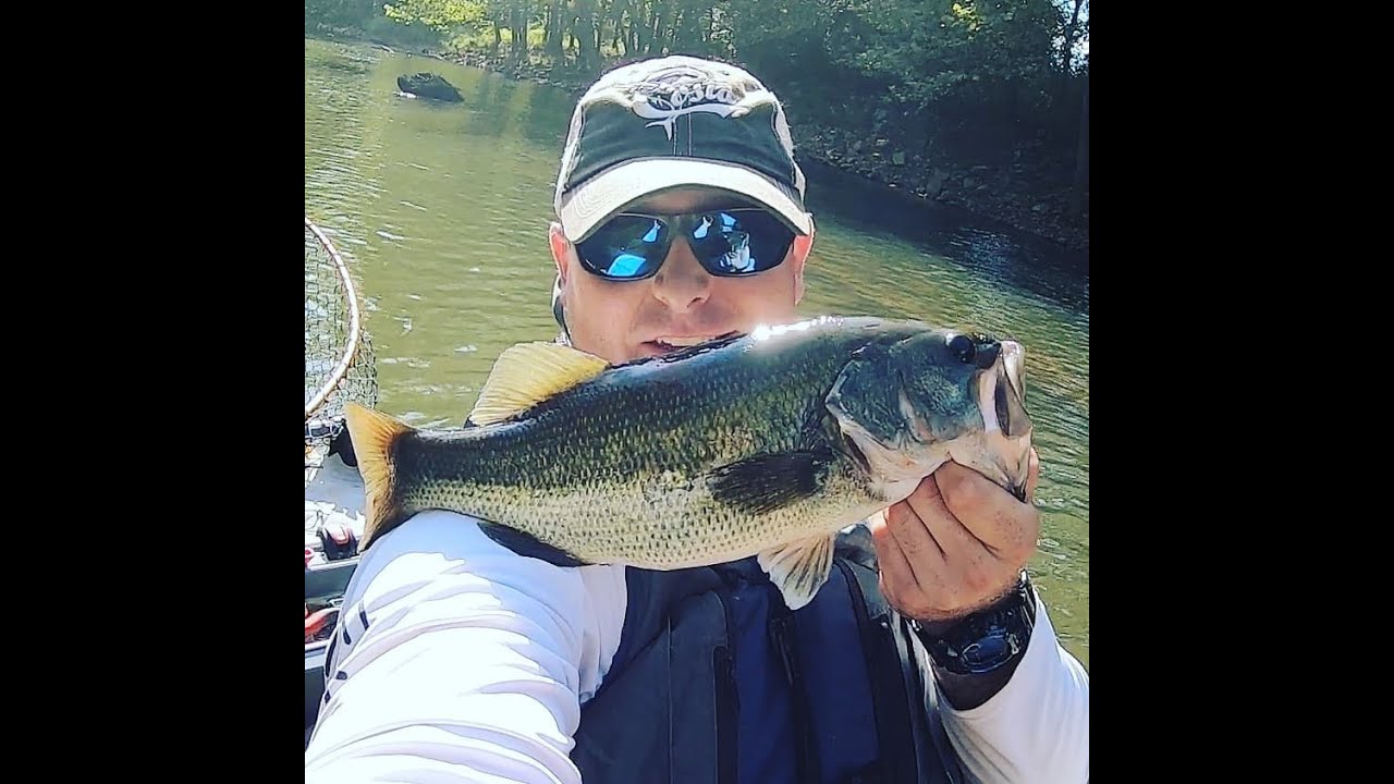 How can there be so many bass in one spot on the river? YouTube