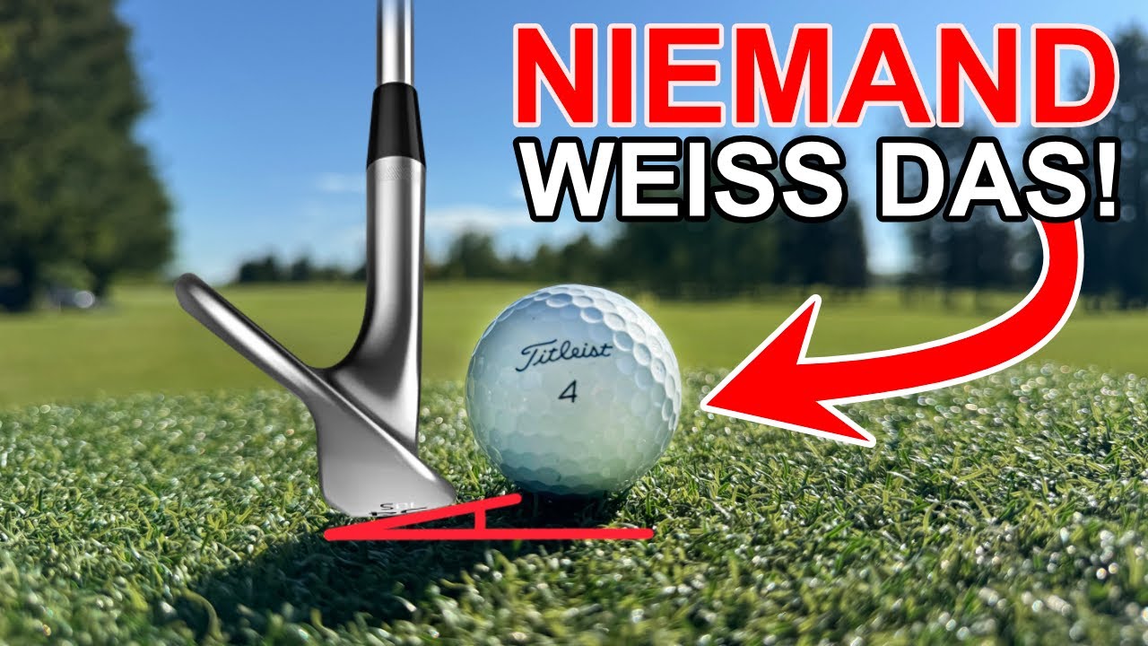 Was Dir noch niemand über das Chippen gesagt hat!