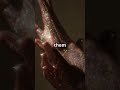The Accidental Invention of Glitter!