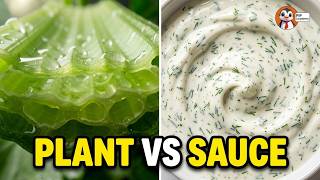 The Surprising Science Inside Celery and Ranch