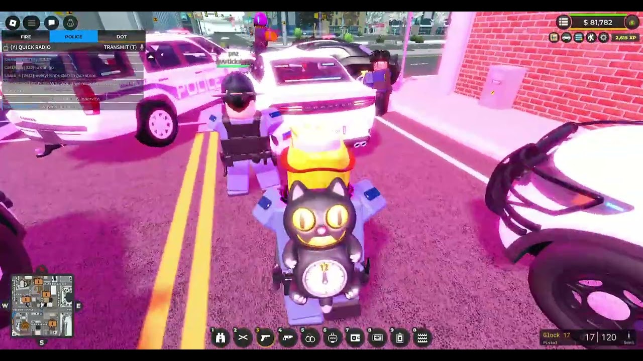 Playing Washington RP in erlc